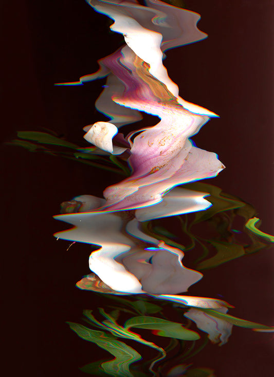 Magnolia Season – Fine Art Print | Limited Edition
