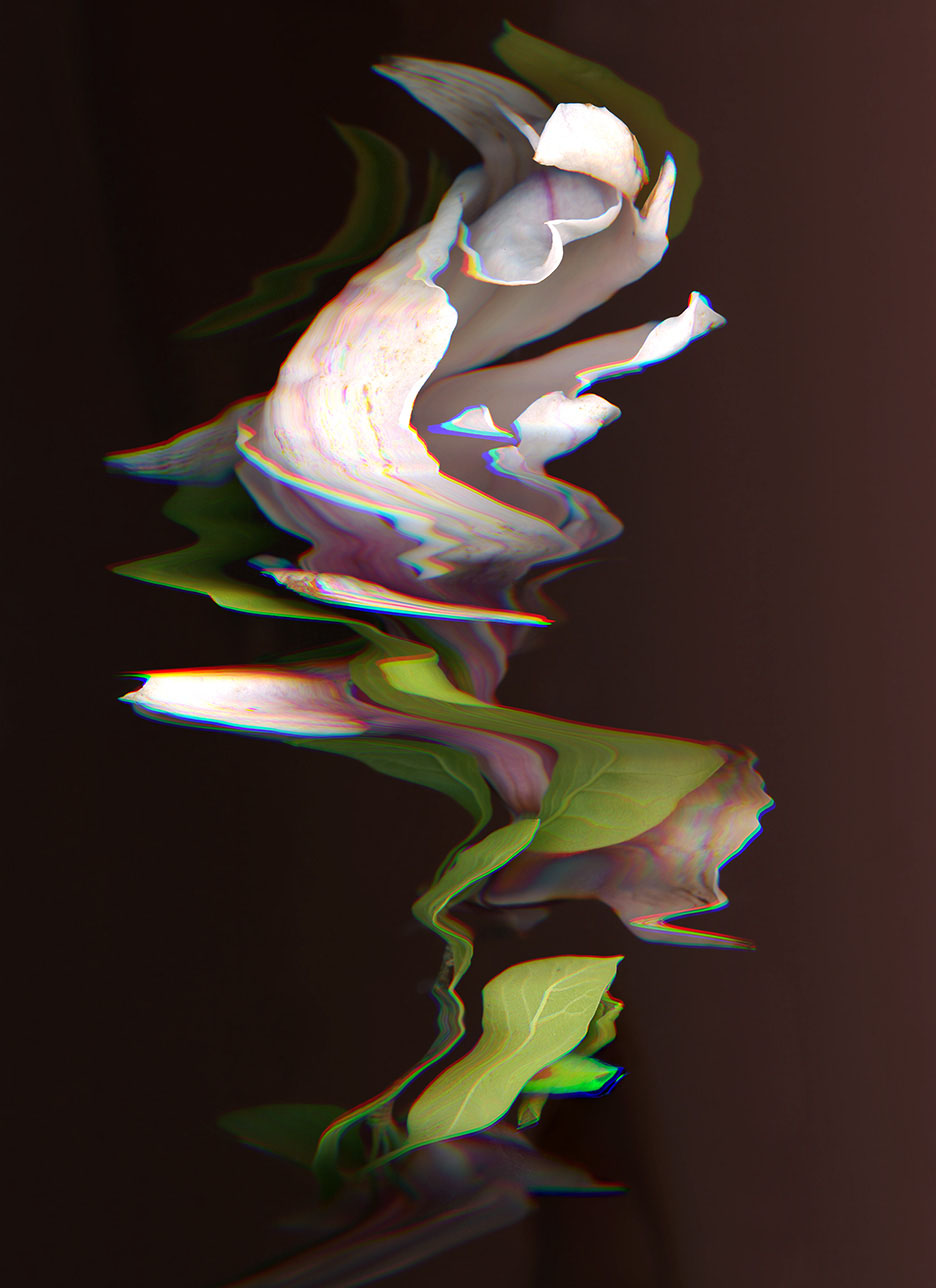 Spring Collapse – Fine Art Print | Limited Edition