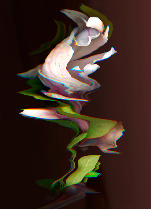 Spring Collapse – Fine Art Print | Limited Edition